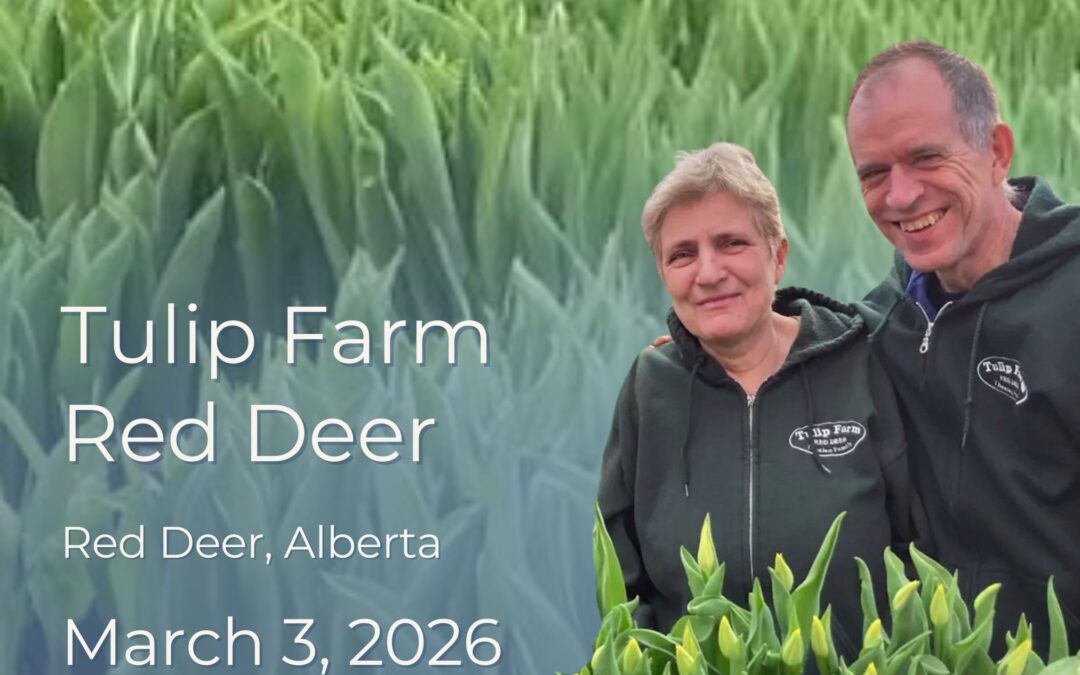 Farm Tour: Tulip Farm Red Deer