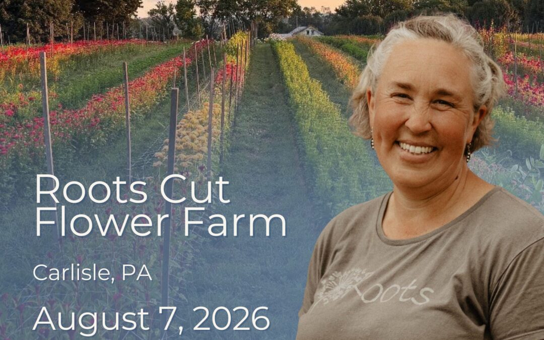 Farm Tour: Roots Cut Flower Farm