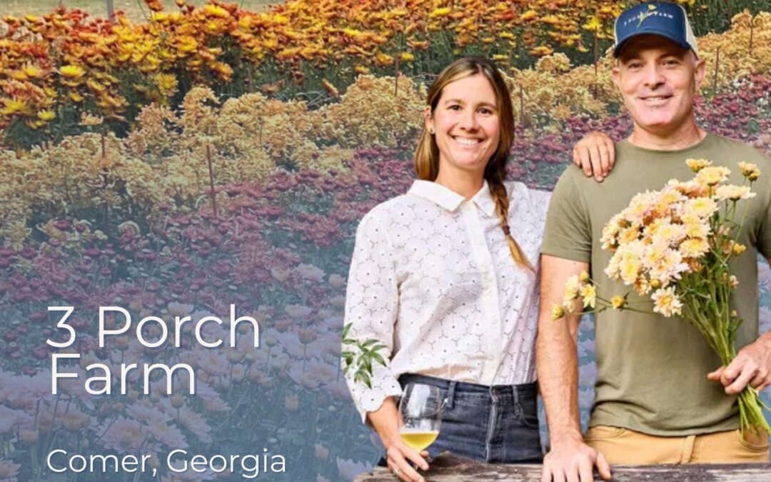 Farm Tour: 3 Porch Farm