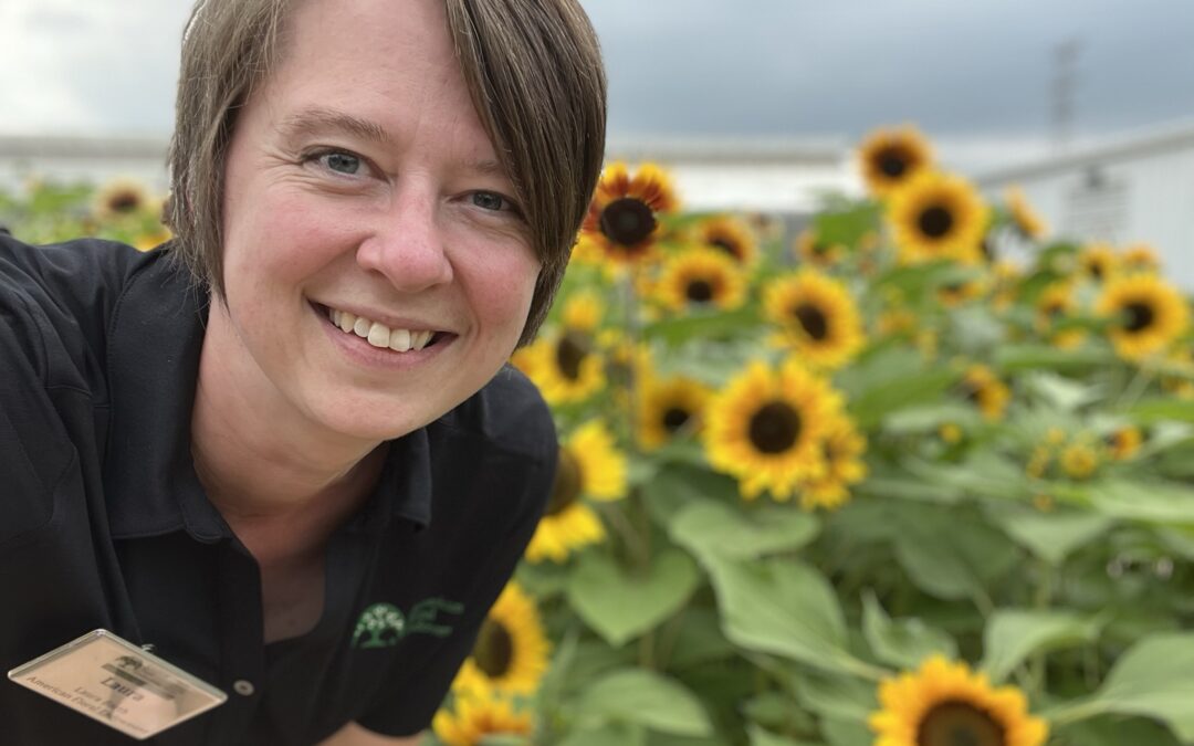 Ask an Expert: Water-Wise Farming – Mitigating Drought and Employing Strategic Irrigation in Cut Flower Production