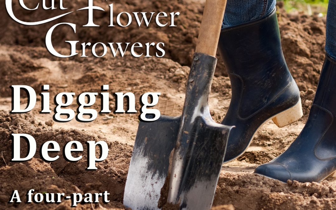 Digging Deep: Planning for the Future