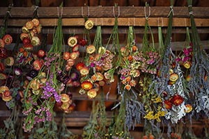 Ask an Expert: Not Your Grandma’s Dried Flowers