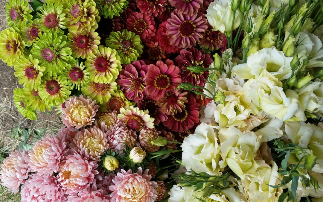 Selling Wholesale: Is that Right for Your Farm?