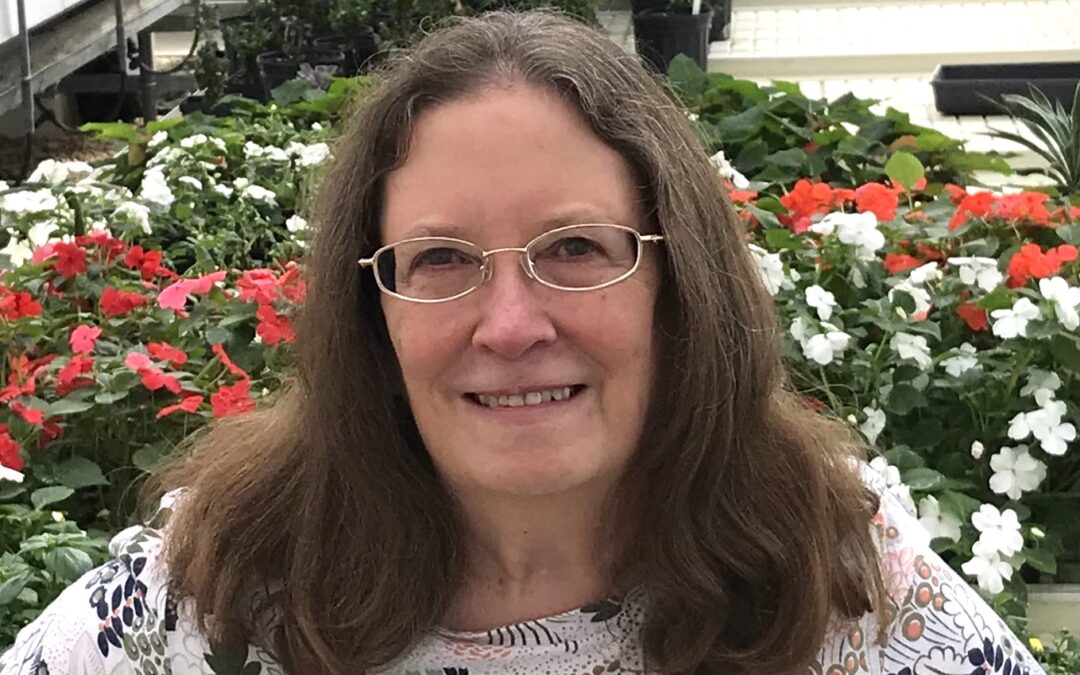 Ask an Expert: Managing Diseases of Dahlia, Zinnia, Sunflower, and Snapdragon Cut Flower Crops ​