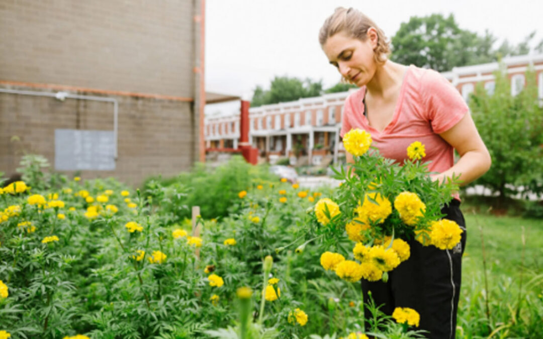 Ask an Expert: Partnering with a Friend for Increased Efficiency and Sales