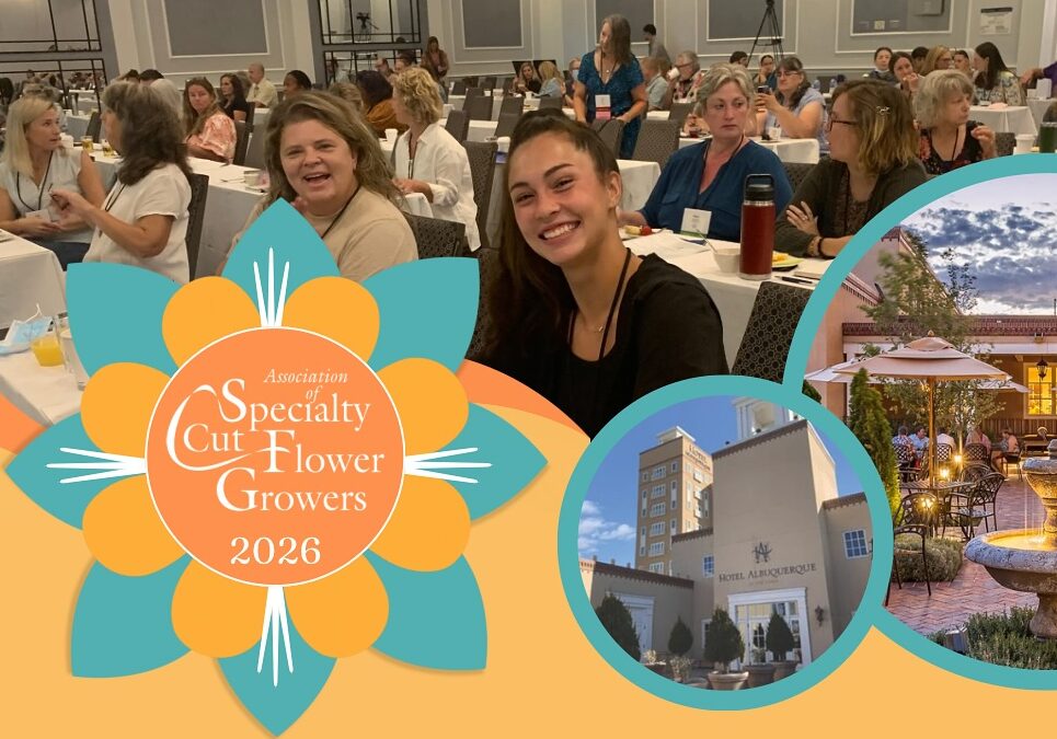 Save the Date: 2026 ASCFG North American Conference!