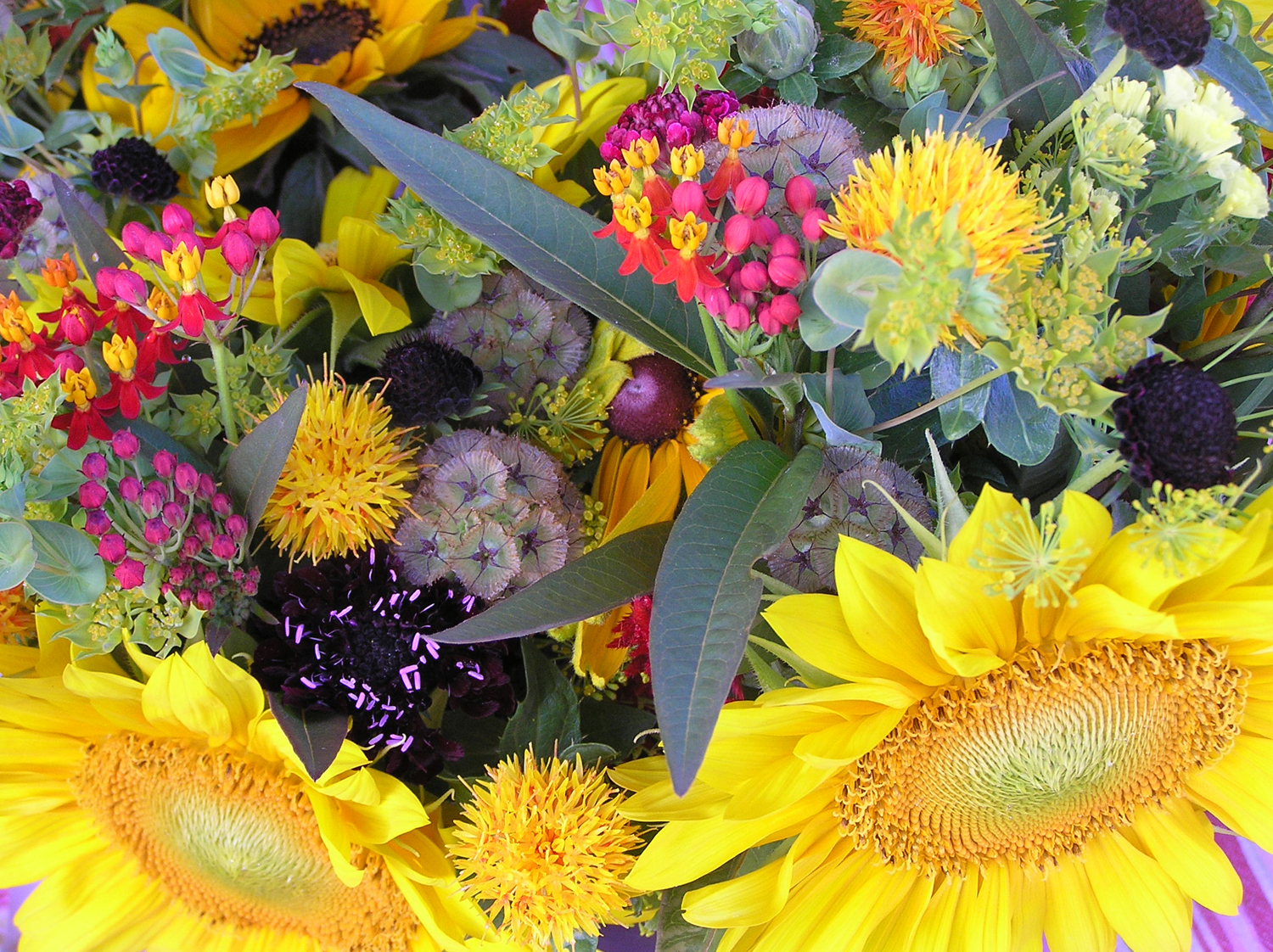 OLYMPUS DIGITAL CAMERA The words River Twist against a wooden background.