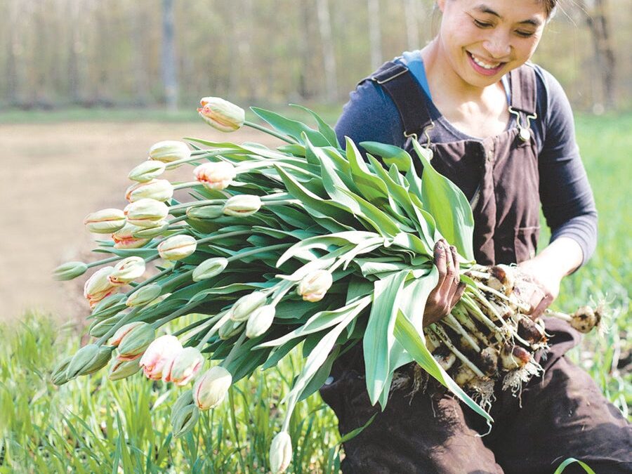 Ask an Expert: Protecting Your Blooms: Frost Management for Cut Flower Farms